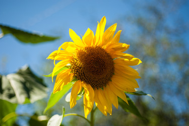 Similar image 1447398