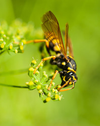 Similar image 1447400