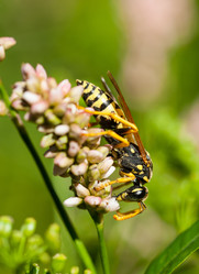 Similar image 1447401