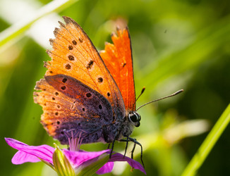 Similar image 1447404