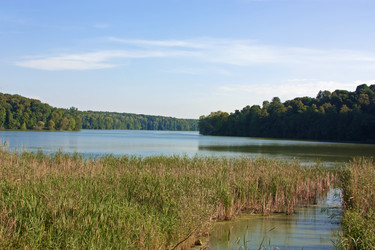 Similar image 1447424