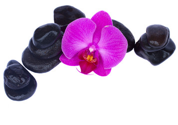 Similar image 1447481