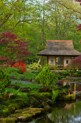 Similar image 1447506