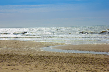 Similar image 1447509