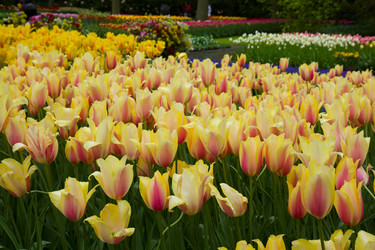 Similar image 1447512