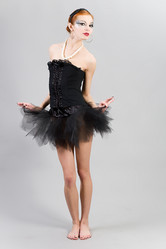 Similar image 1447545