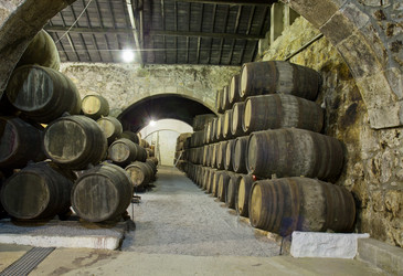 Similar image 1447572