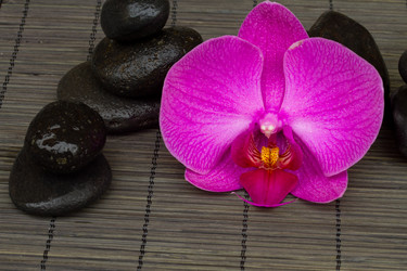 Similar image 1447579