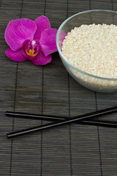 Similar image 1447580