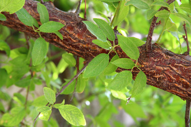 Similar image 1447594