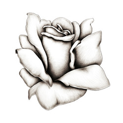 Similar image 1447599