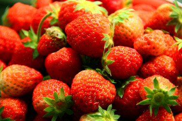 Similar image 1447665