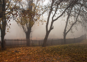 Similar image 1447686