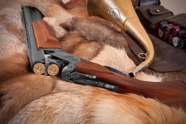 Similar image 1447730