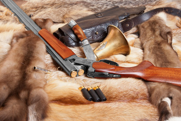 Similar image 1447733