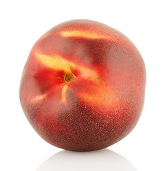 Similar image 1447828