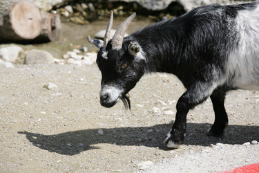 Similar image 1447856