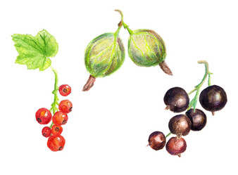 Similar image 1447876