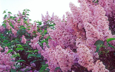 Similar image 1447881