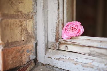 Similar image 1447890