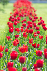 Similar image 1447947