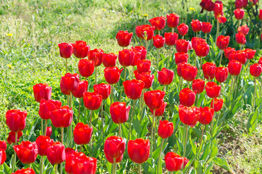 Similar image 1447977