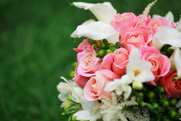 Similar image 1448006