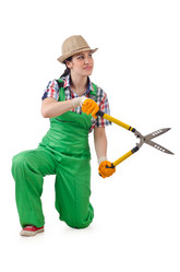 Similar image 1448027