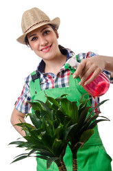 Similar image 1448028