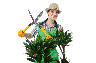 Similar image 1448030