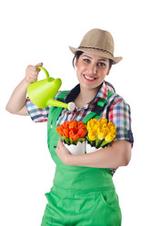 Similar image 1448041