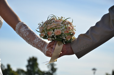 Similar image 1448138