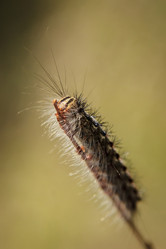 Similar image 1448141