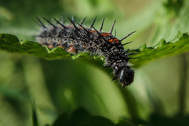 Similar image 1448142