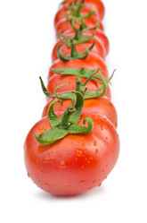 Similar image 1448165