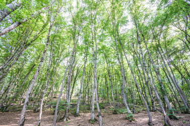 Similar image 1448192