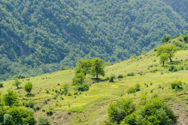 Similar image 1448198