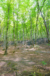 Similar image 1448201