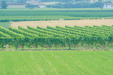 Similar image 1448209