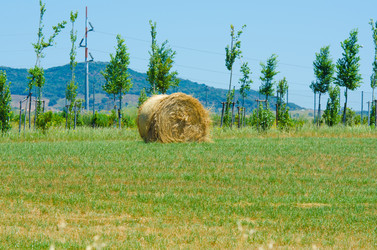 Similar image 1448249