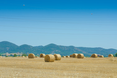 Similar image 1448251