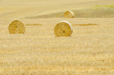 Similar image 1448262