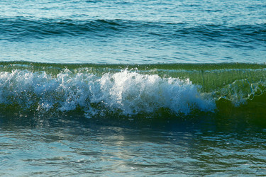 Similar image 1448289