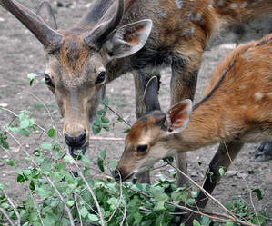 Similar image 1448302