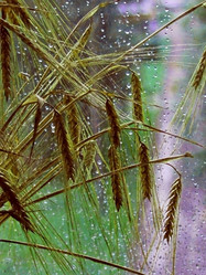 Similar image 1448311