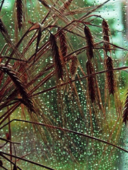 Similar image 1448312