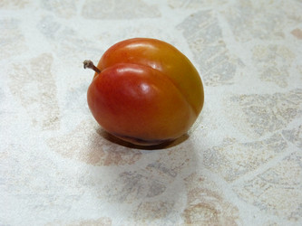 Similar image 1448362