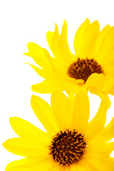 Similar image 1448403