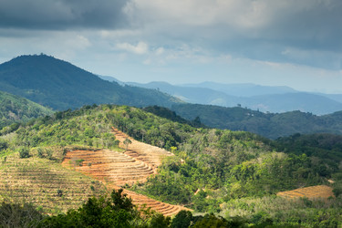 Similar image 1448418