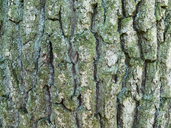 Similar image 1448425